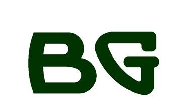 BG Service Co., Inc.